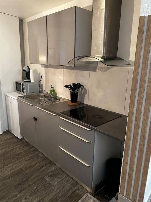 Le Cosy'Ppart - Easylife Daire Bourgoin-Jallieu Dış mekan fotoğraf